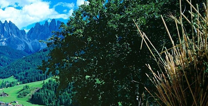 Galreidhof Διαμέρισμα Funes  Εξωτερικό φωτογραφία